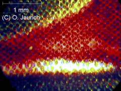 Farbdruck Illustrierte 60x AL