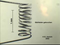 defekte Kleinlampe Stereomikroskop 70x
