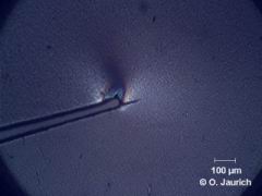 Kunststofffolie mit Einschnitt, leicht belastet, gekreuzte Polfilter, 150x HF