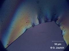 Kunststofffolie mit Einschnitt, stark belastet, gekreuzte Polfilter, 600x HF