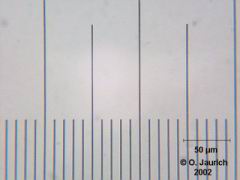 Objektmikrometer 1mm 600x HF