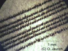 Tintenstrahl Ausdruck 60x AL